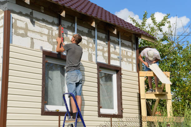 Best Residential Vinyl Siding Installation  in Mingo Junction, OH