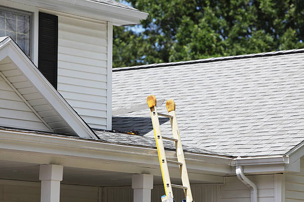Best Siding Removal and Disposal  in Mingo Junction, OH